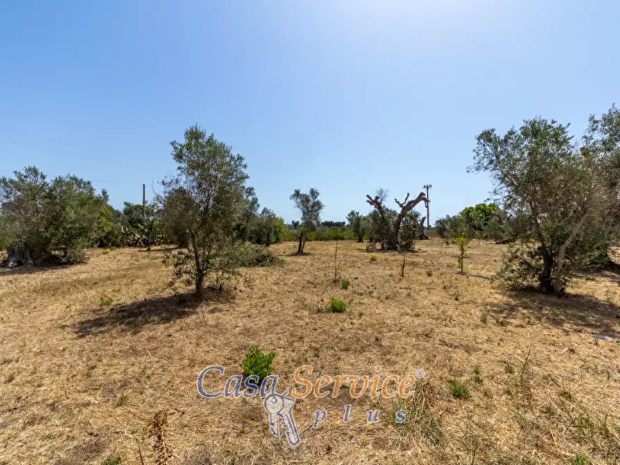 Immagine 18 di Villa in vendita  in Matino, LE, Italia a Matino