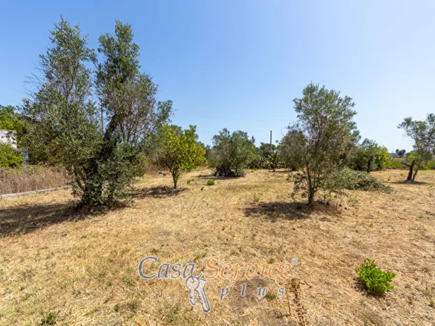 Immagine 25 di Villa in vendita  in Matino, LE, Italia a Matino