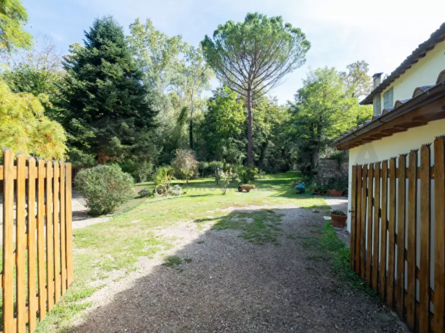 Immagine 30 di Rustico / casale in vendita  in Località Mugnaione a Reggello