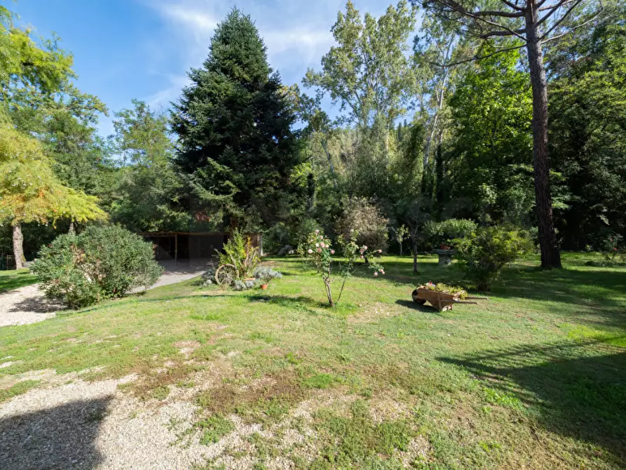 Immagine 32 di Rustico / casale in vendita  in Località Mugnaione a Reggello