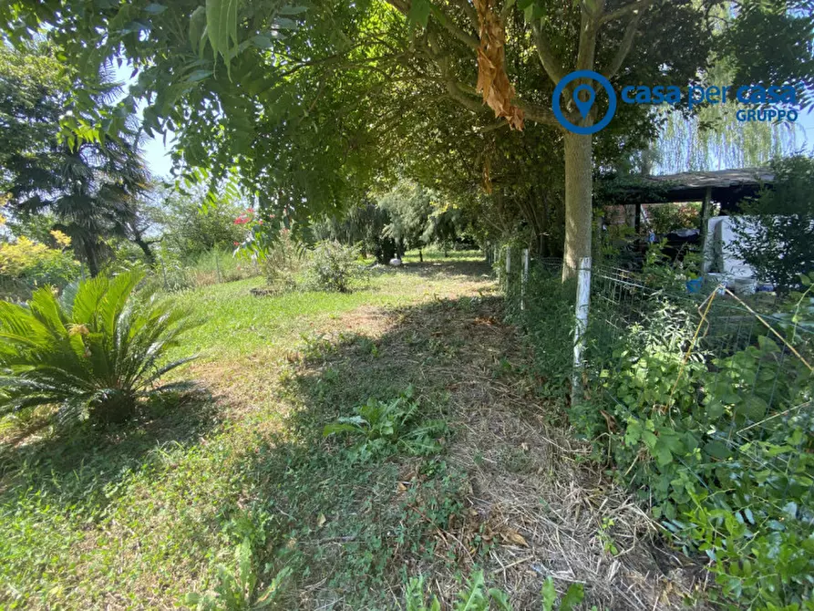 Immagine 31 di Villetta a schiera in vendita  in Adria, Via Pellestrina a Adria