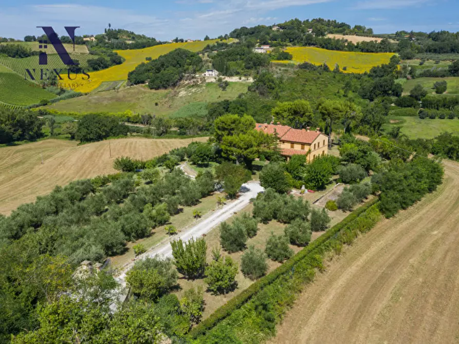Immagine 2 di Villa in vendita  a Fano