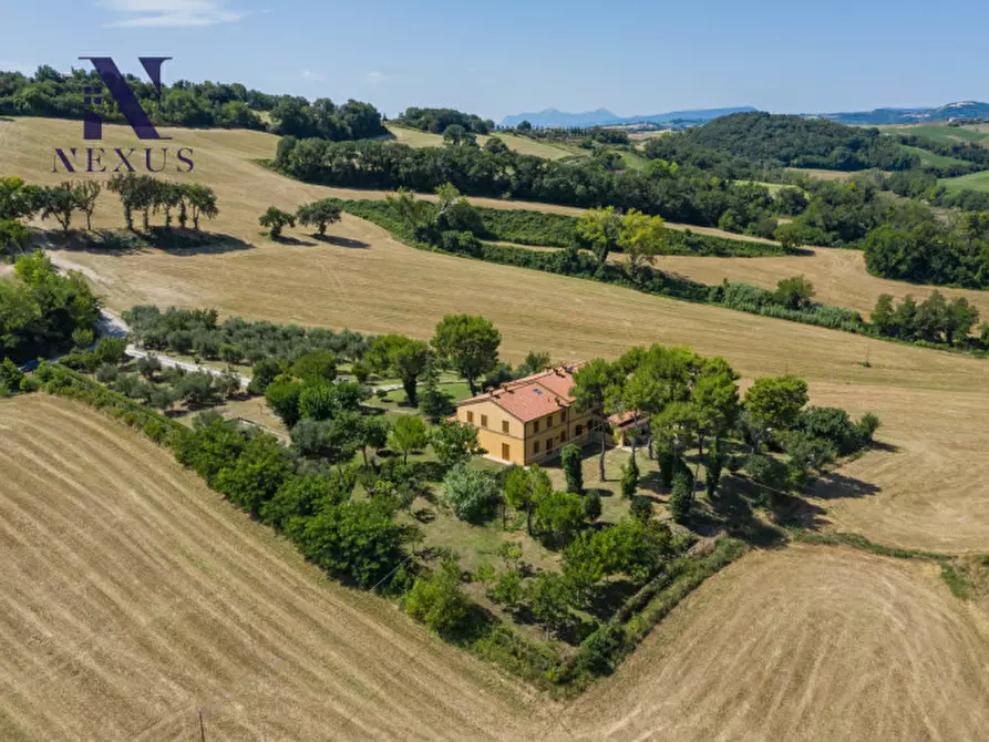 Immagine 3 di Villa in vendita  a Fano