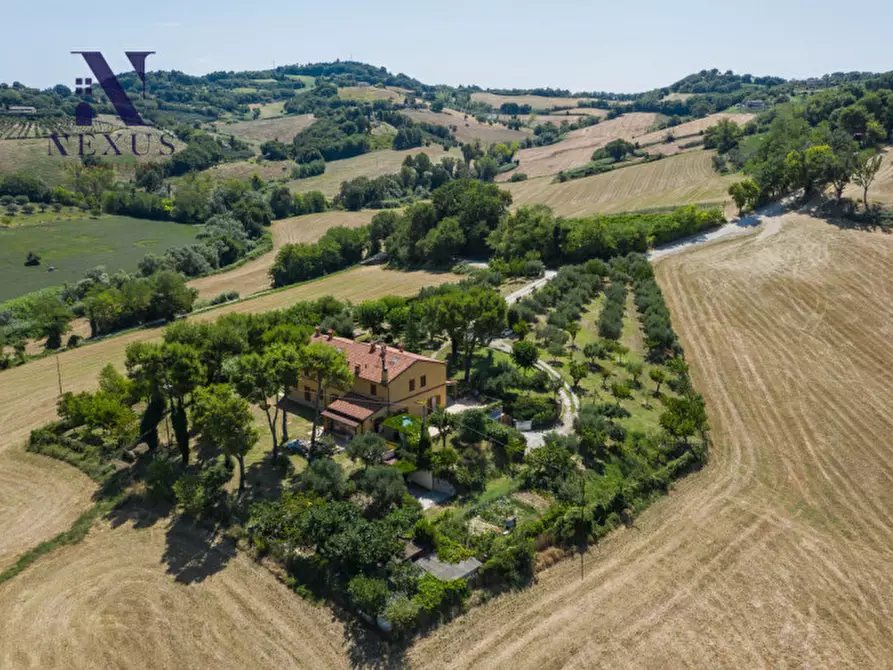 Immagine 4 di Villa in vendita  a Fano