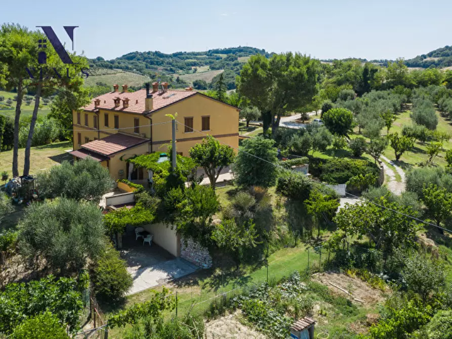Immagine 5 di Villa in vendita  a Fano