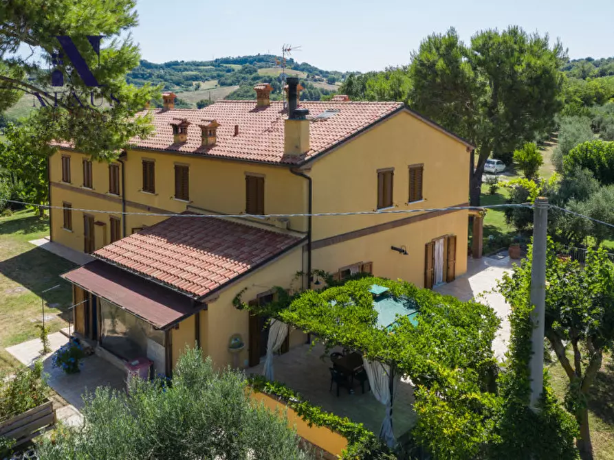 Immagine 6 di Villa in vendita  a Fano