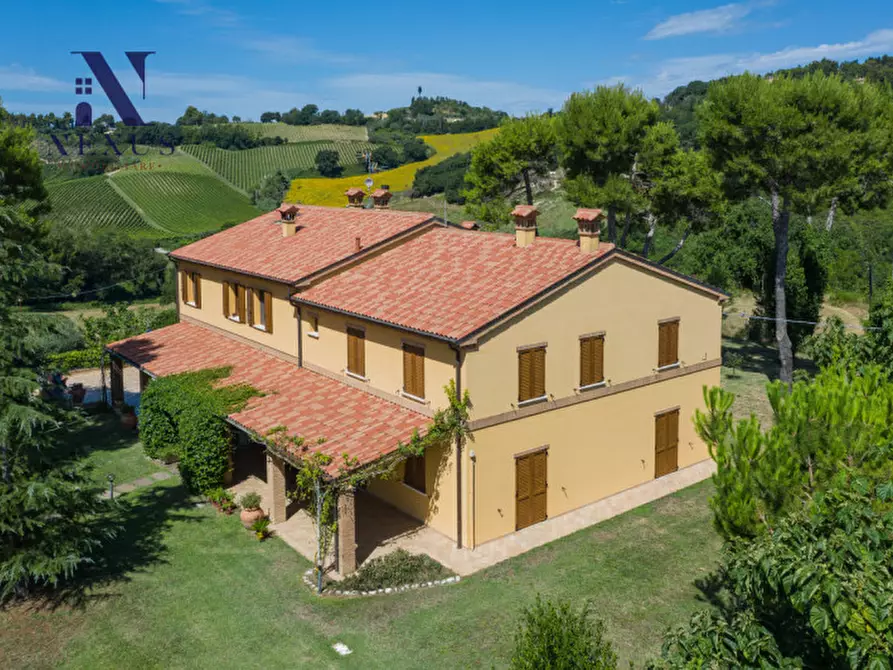 Immagine 9 di Villa in vendita  a Fano