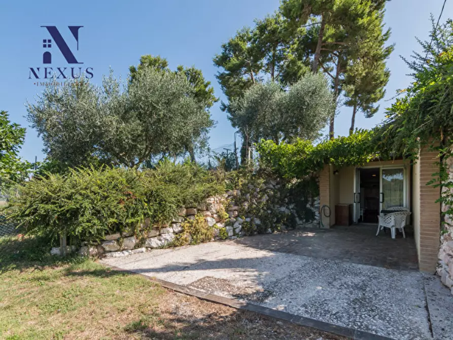 Immagine 43 di Villa in vendita  a Fano