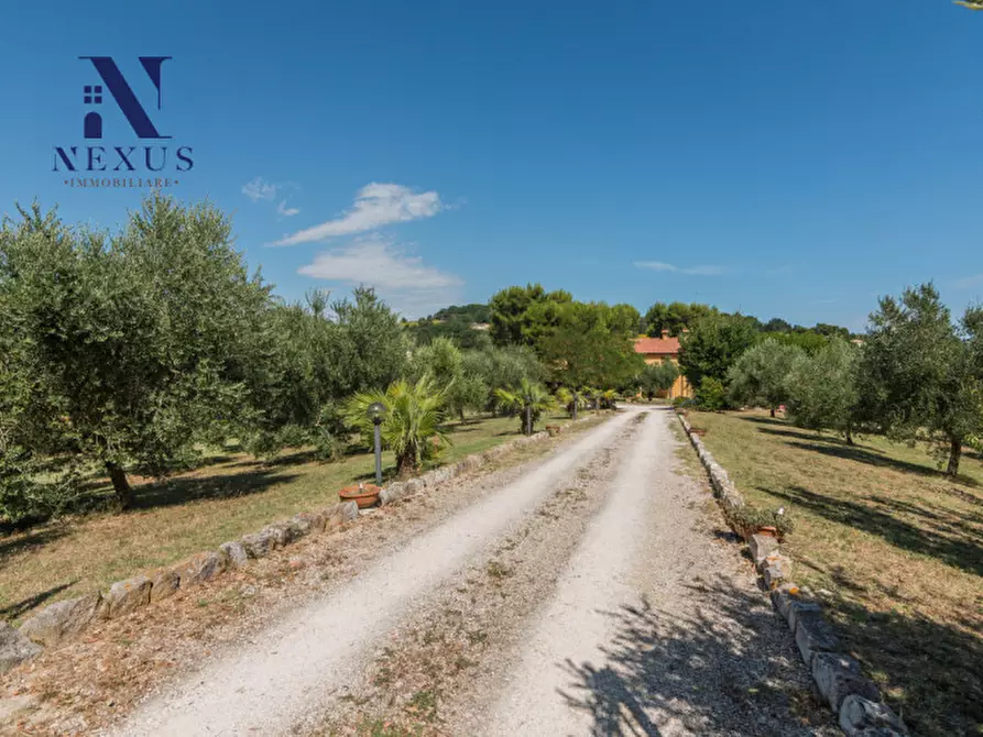 Immagine 55 di Villa in vendita  a Fano