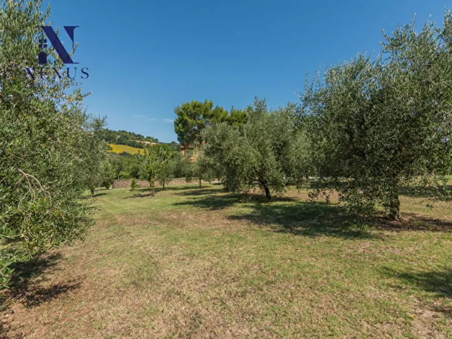 Immagine 56 di Villa in vendita  a Fano