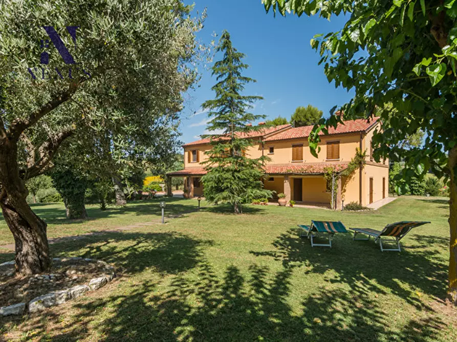 Immagine 59 di Villa in vendita  a Fano