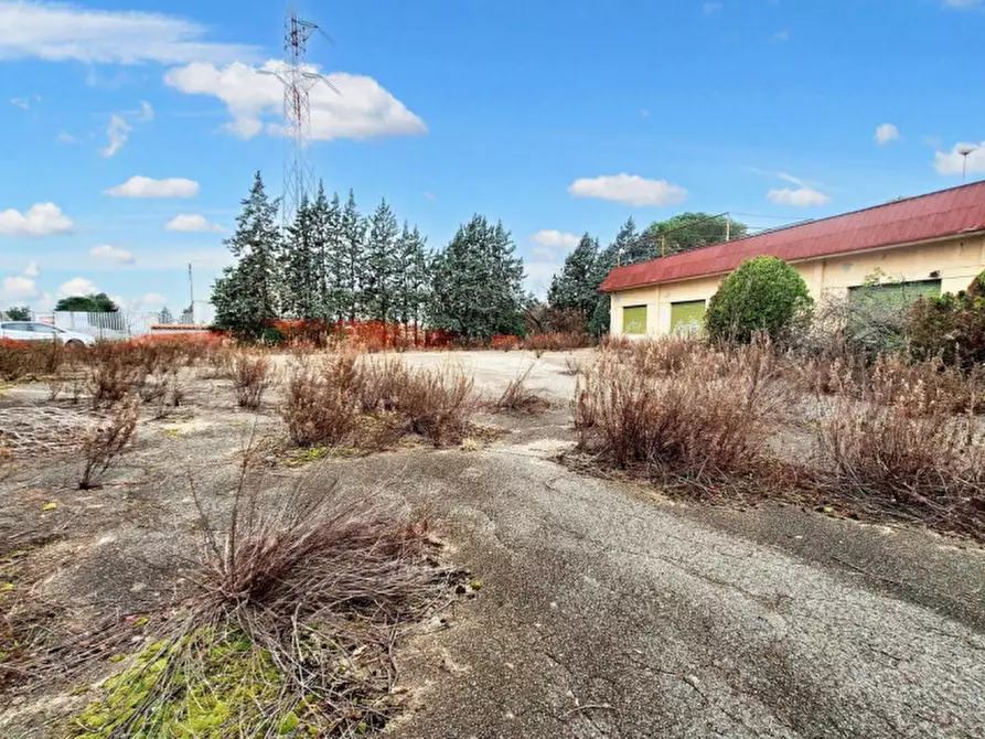 Immagine 3 di Attività commerciale in vendita  in Via La Croce, N. 17/18 a Camerata Picena