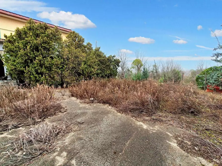 Immagine 5 di Attività commerciale in vendita  in Via La Croce, N. 17/18 a Camerata Picena