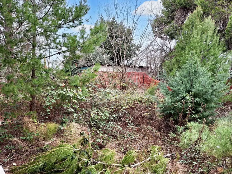 Immagine 7 di Attività commerciale in vendita  in Via La Croce, N. 17/18 a Camerata Picena