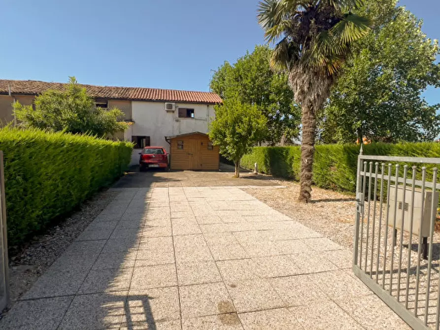 Immagine 3 di Casa bifamiliare in vendita  a Correzzola