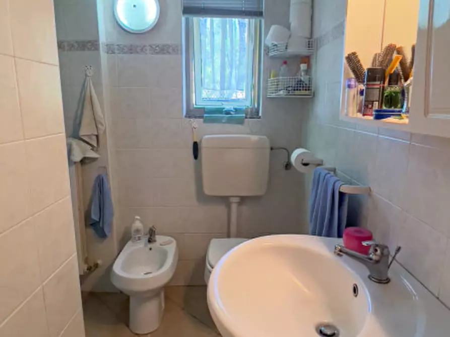 Immagine 7 di Casa bifamiliare in vendita  a Correzzola