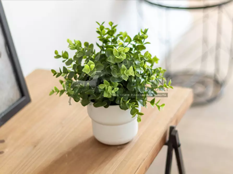 Immagine 46 di Villa in vendita  a Monza