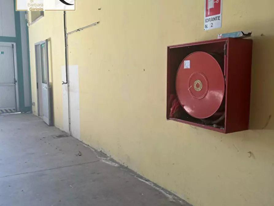 Immagine 3 di Capannone industriale in affitto  a Badia Polesine