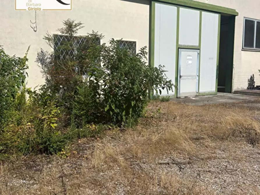 Immagine 17 di Capannone industriale in affitto  a Badia Polesine