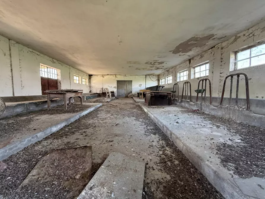 Immagine 13 di Casa indipendente in vendita  in VIA GIAVONE a Veronella