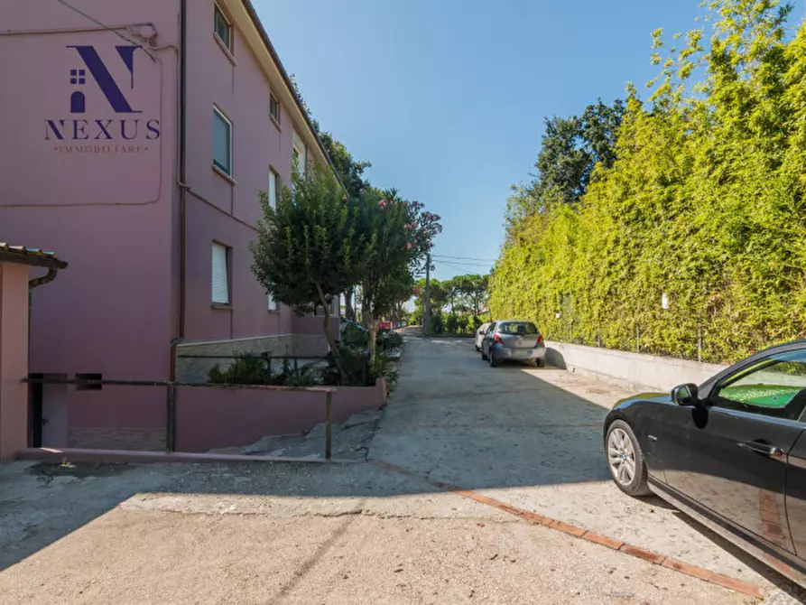Immagine 24 di Appartamento in vendita  a Fano