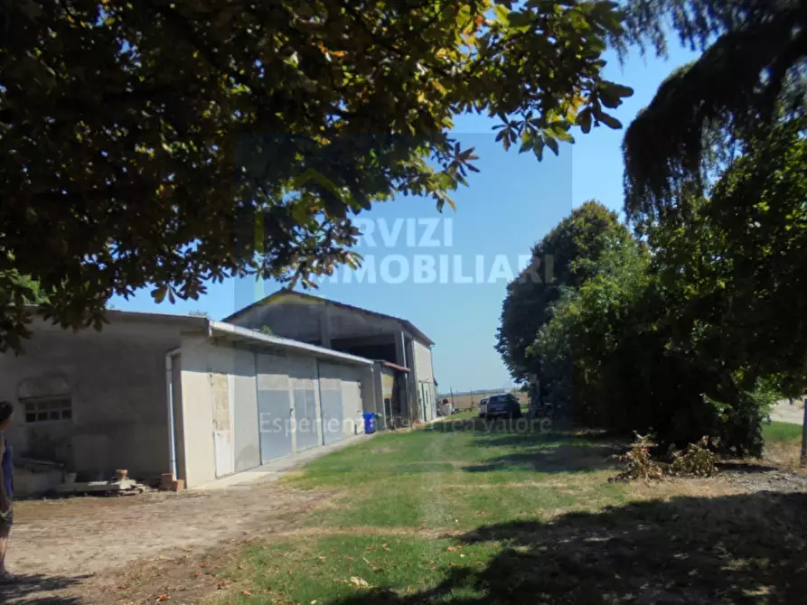 Immagine 18 di Casa bifamiliare in vendita  in via Belvedere a Riva Del Po