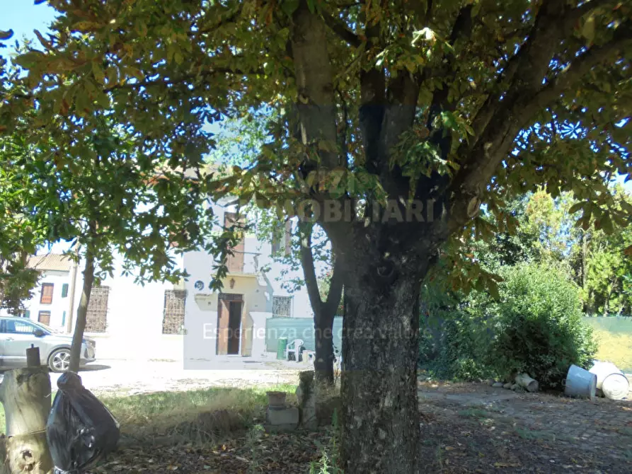 Immagine 20 di Casa bifamiliare in vendita  in via Belvedere a Riva Del Po