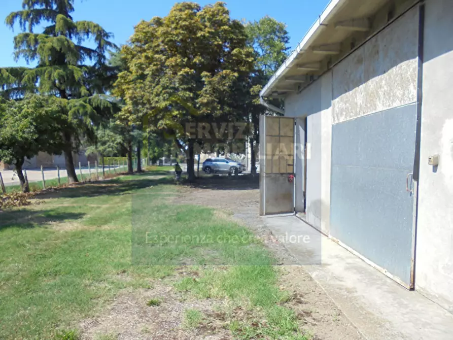 Immagine 22 di Casa bifamiliare in vendita  in via Belvedere a Riva Del Po