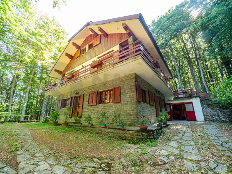 Immagine 2 di Rustico / casale in vendita  in VIA CROCE DI RIBONA a Pelago