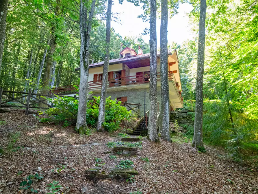 Immagine 5 di Rustico / casale in vendita  in VIA CROCE DI RIBONA a Pelago