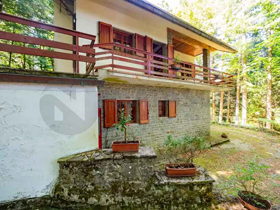 Immagine 6 di Rustico / casale in vendita  in VIA CROCE DI RIBONA a Pelago