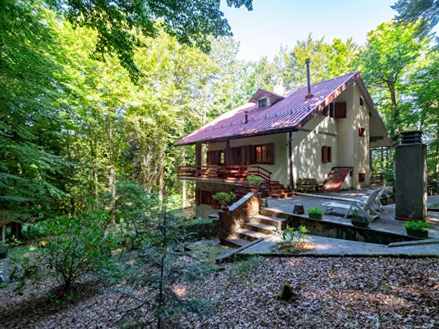 Immagine 10 di Rustico / casale in vendita  in VIA CROCE DI RIBONA a Pelago