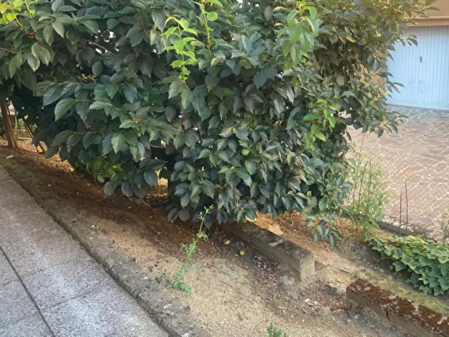 Immagine 9 di Appartamento in vendita  in Via Stazione a Sasso Marconi