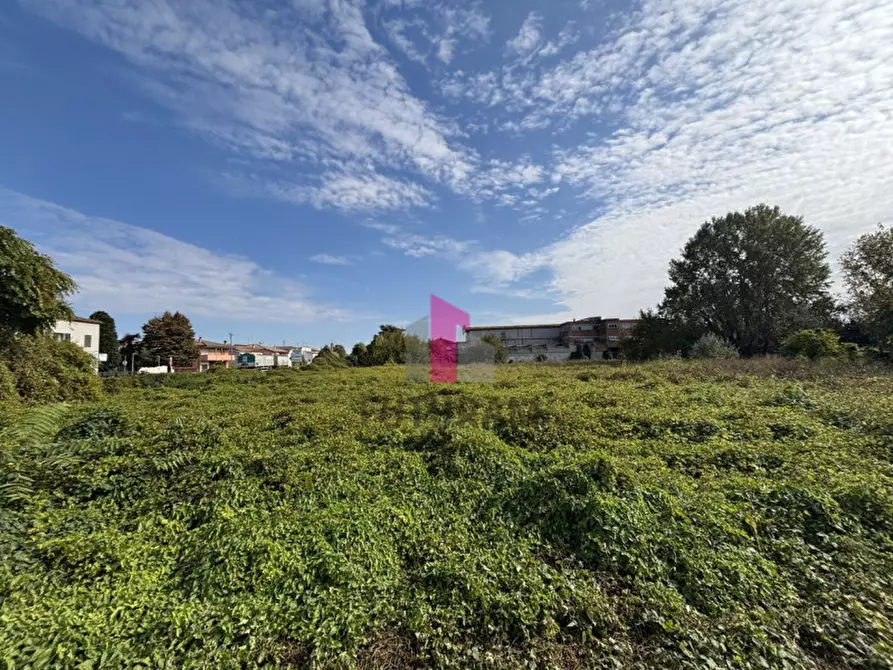Immagine 2 di Terreno in vendita  in strada regionale padana inferiore a Ospedaletto Euganeo