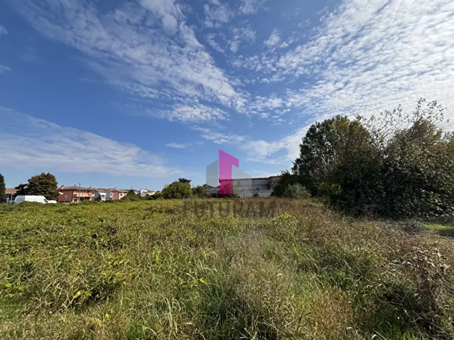 Immagine 3 di Terreno in vendita  in strada regionale padana inferiore a Ospedaletto Euganeo