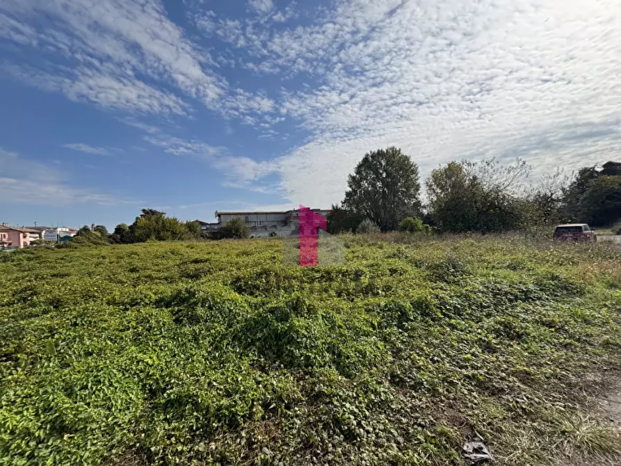 Immagine 4 di Terreno in vendita  in strada regionale padana inferiore a Ospedaletto Euganeo