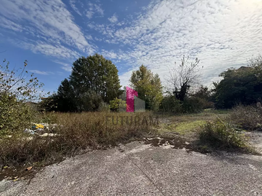 Immagine 6 di Terreno in vendita  in strada regionale padana inferiore a Ospedaletto Euganeo