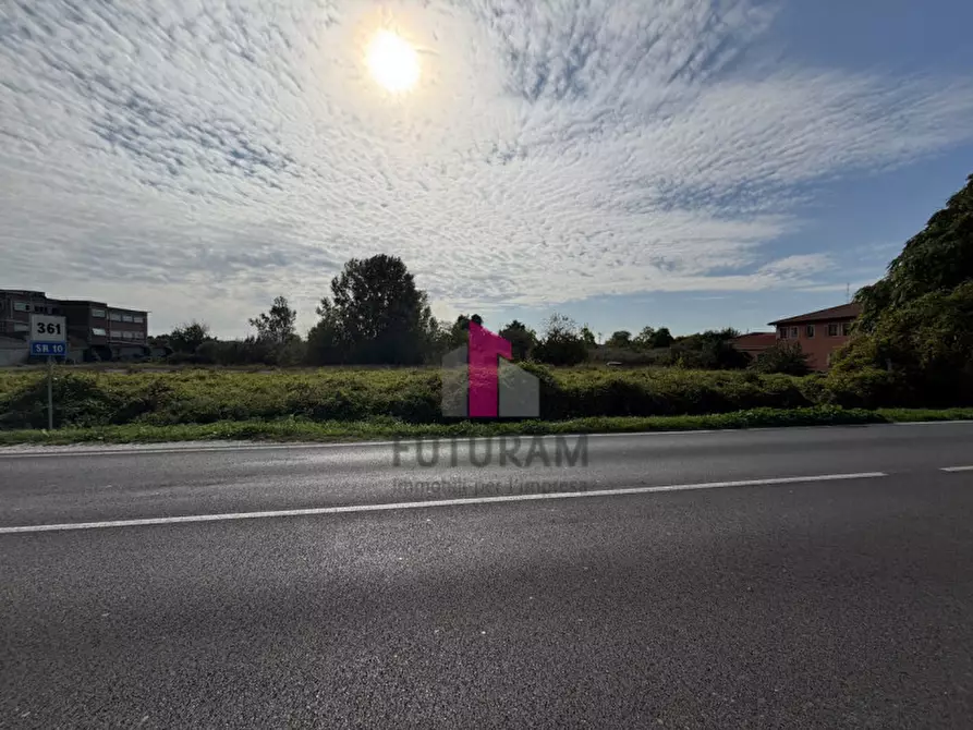 Immagine 8 di Terreno in vendita  in strada regionale padana inferiore a Ospedaletto Euganeo