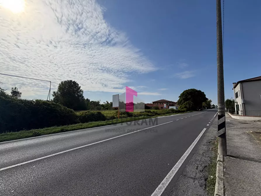 Immagine 9 di Terreno in vendita  in strada regionale padana inferiore a Ospedaletto Euganeo