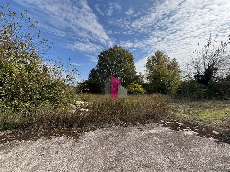 Immagine 13 di Terreno in vendita  in strada regionale padana inferiore a Ospedaletto Euganeo
