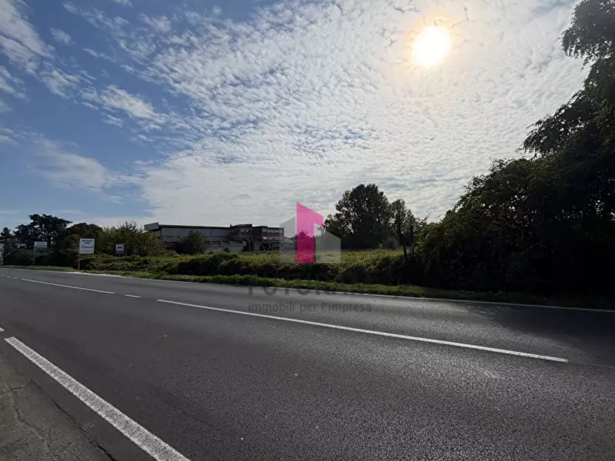 Immagine 17 di Terreno in vendita  in strada regionale padana inferiore a Ospedaletto Euganeo