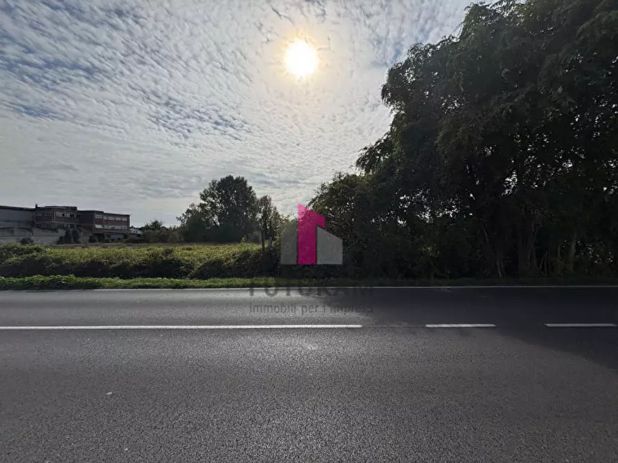 Immagine 18 di Terreno in vendita  in strada regionale padana inferiore a Ospedaletto Euganeo