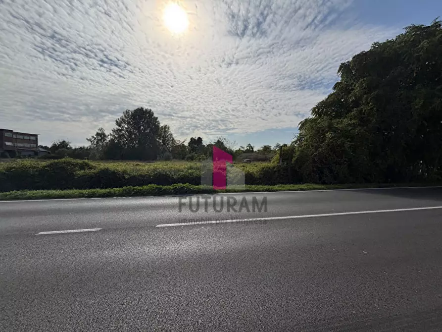 Immagine 20 di Terreno in vendita  in strada regionale padana inferiore a Ospedaletto Euganeo