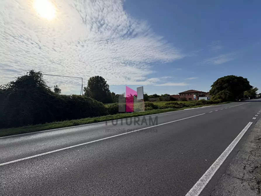 Immagine 22 di Terreno in vendita  in strada regionale padana inferiore a Ospedaletto Euganeo