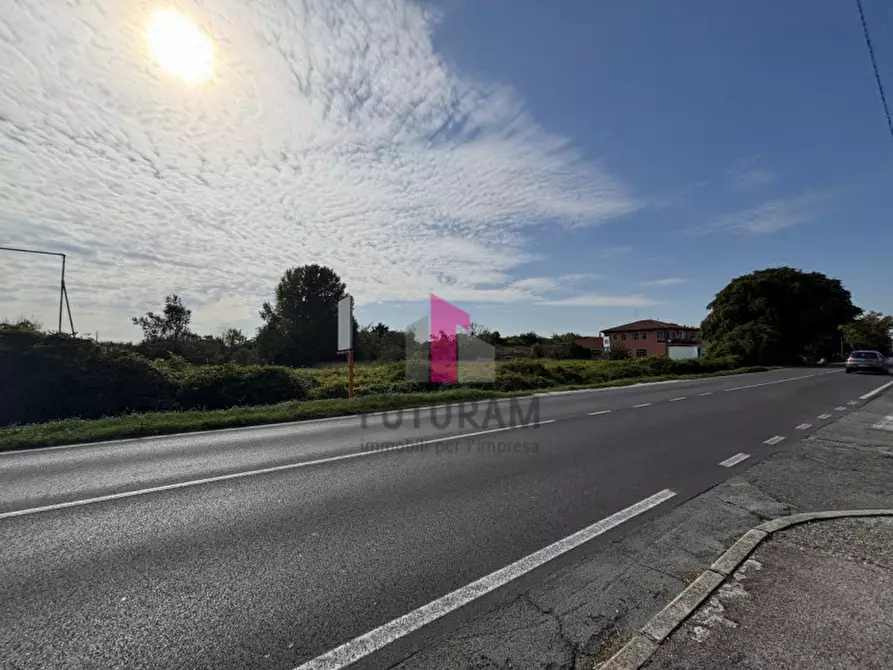 Immagine 22 di Terreno in vendita  in strada regionale padana inferiore a Este
