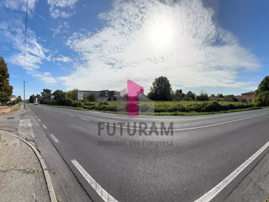 Immagine 24 di Terreno in vendita  in strada regionale padana inferiore a Ospedaletto Euganeo