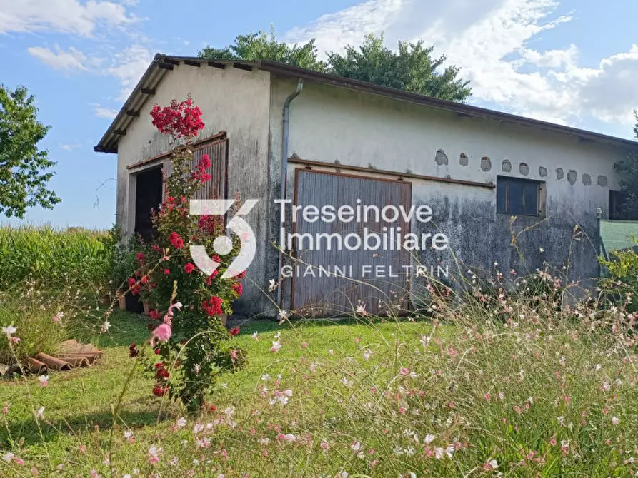 Immagine 3 di Rustico / casale in vendita  in Via Delle Chizzette a Morgano