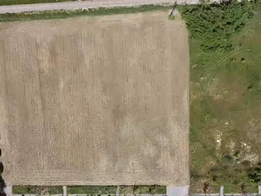 Immagine 1 di Terreno in vendita  a Nogarole Rocca