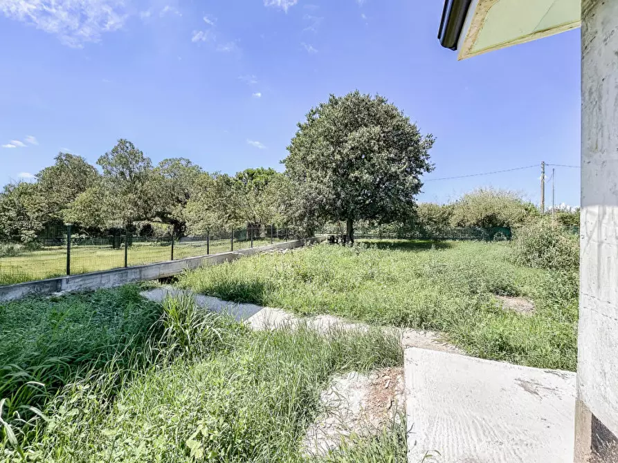 Immagine 12 di Villa in vendita  in Via Milone a Pescantina