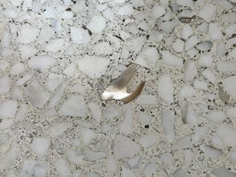 Immagine 63 di Appartamento in vendita  in VIA ARMANDO DIAZ 8 a Meolo